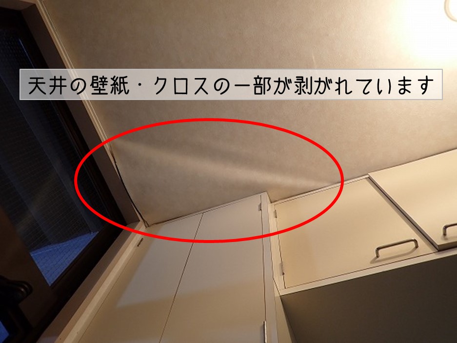 呉市　アパート折半屋根　雨漏り調査 玄関　天井クロス剥がれ